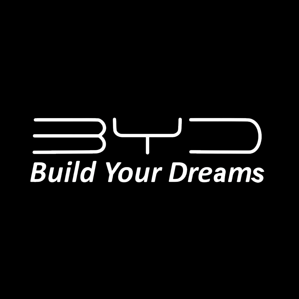 BYD LED Door Projection Light Kit