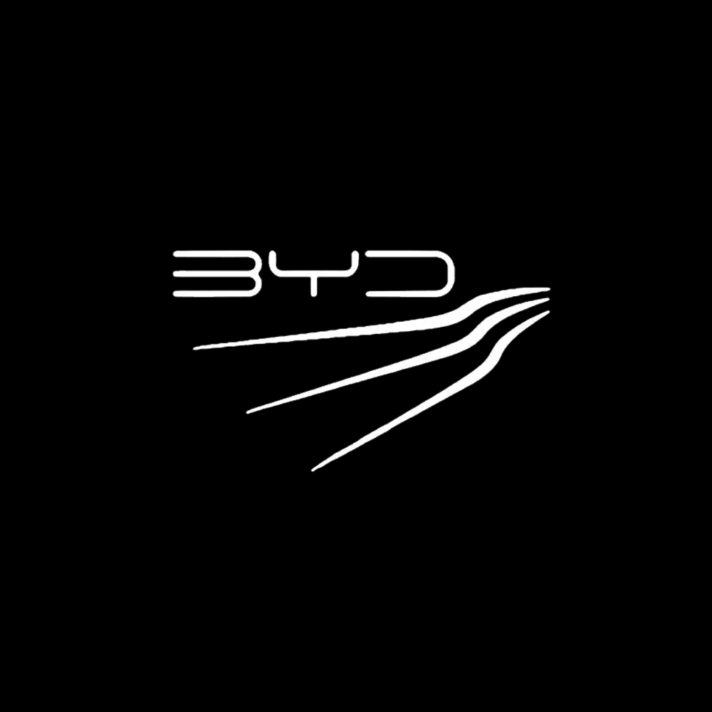BYD LED Door Projection Light Kit