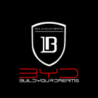 BYD LED Door Projection Light Kit