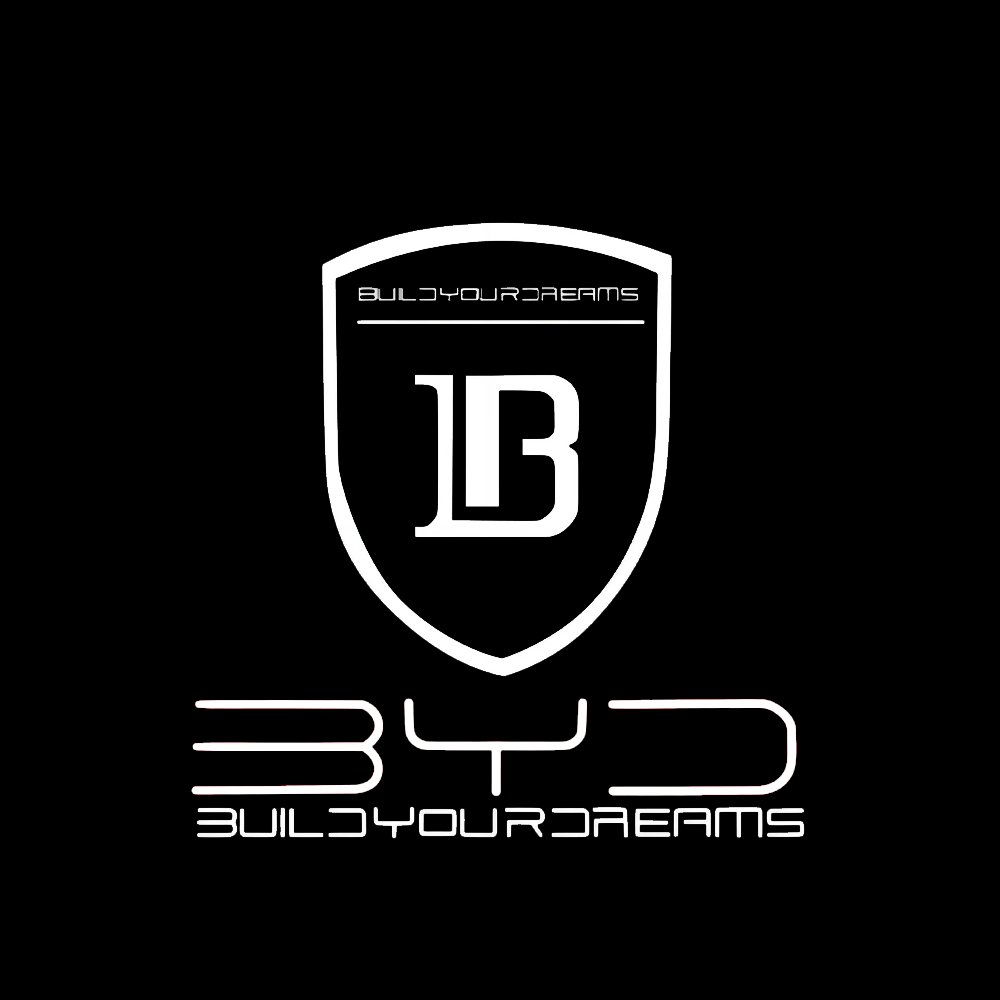 BYD LED Door Projection Light Kit
