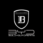 BYD LED Door Projection Light Kit