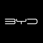 BYD LED Door Projection Light Kit