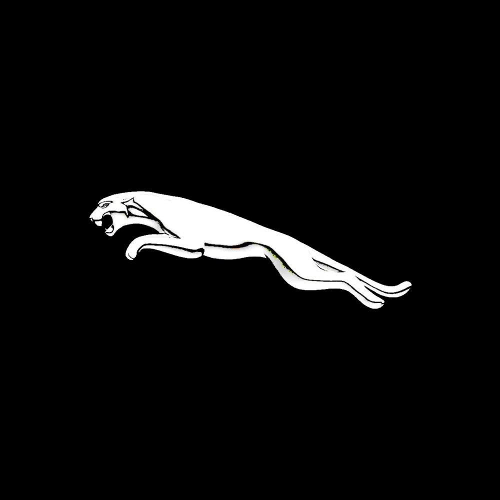 Jaguar LED Door Projection Light Kit