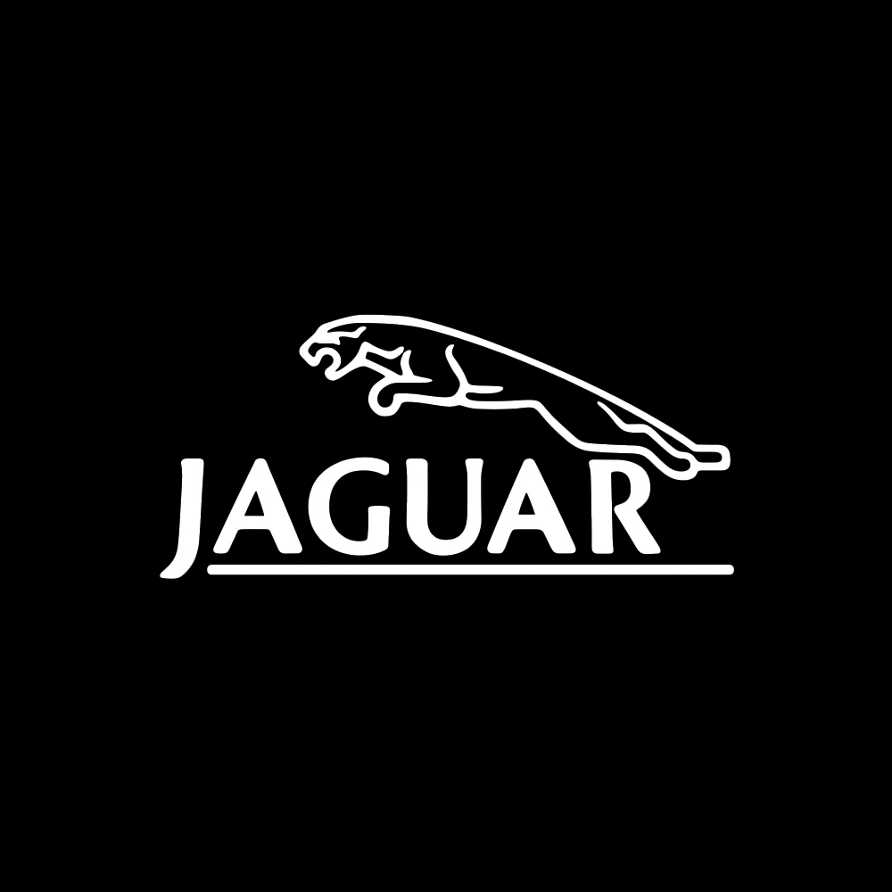 Jaguar LED Door Projection Light Kit