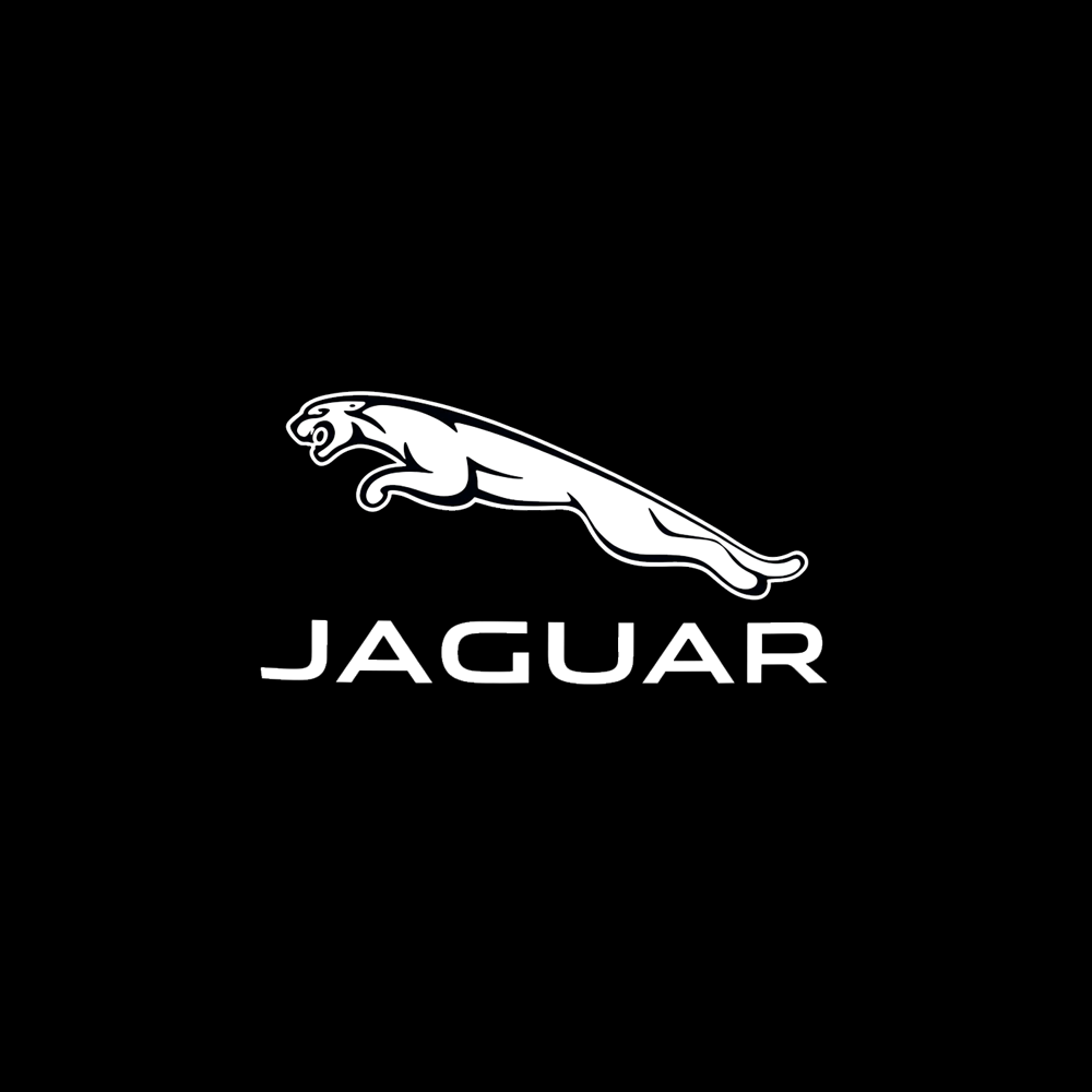 Jaguar LED Door Projection Light Kit