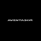 Lamborghini LED Door Projection Light Kit
