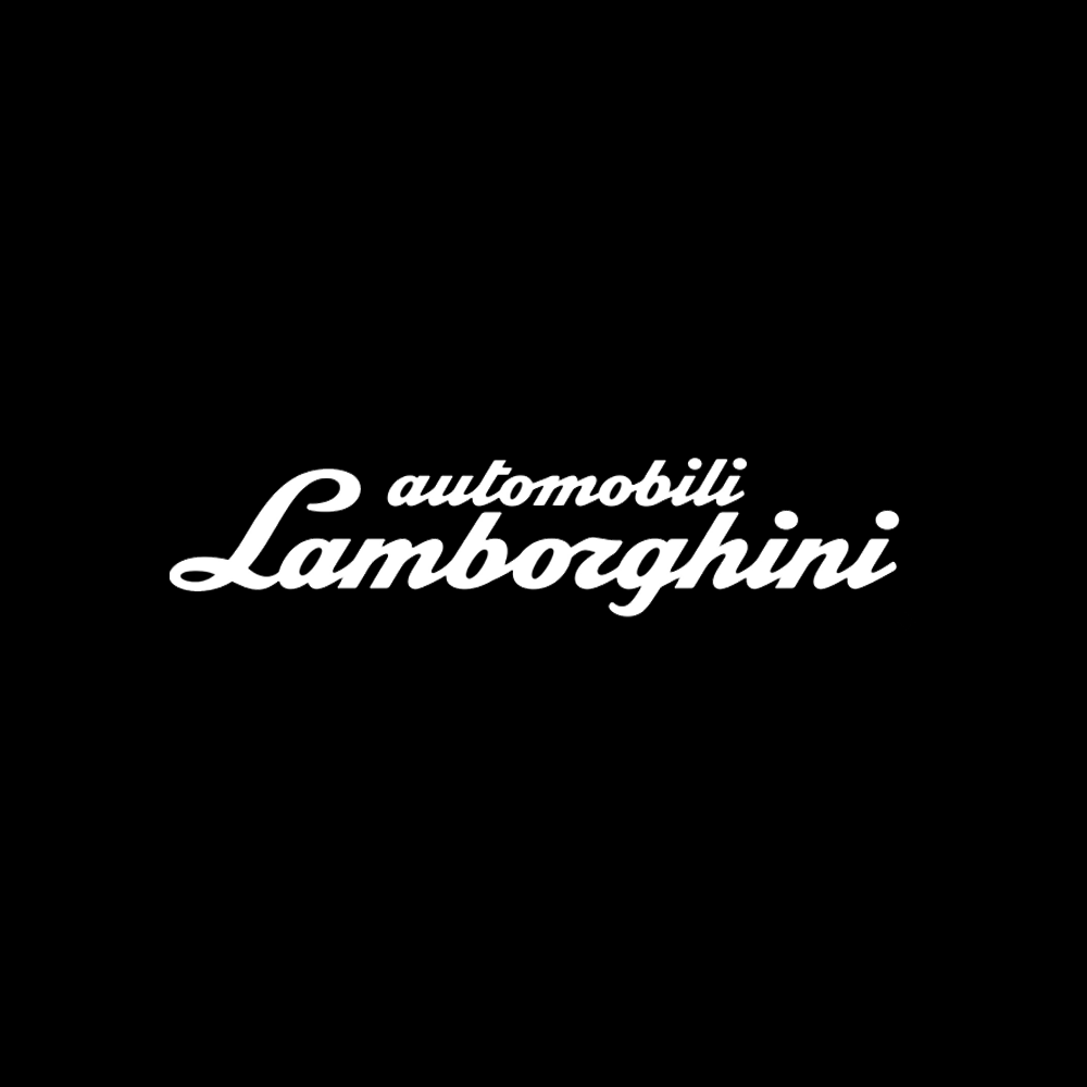 Lamborghini LED Door Projection Light Kit