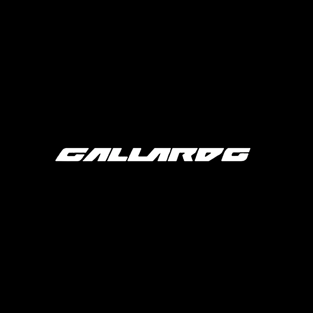 Lamborghini LED Door Projection Light Kit