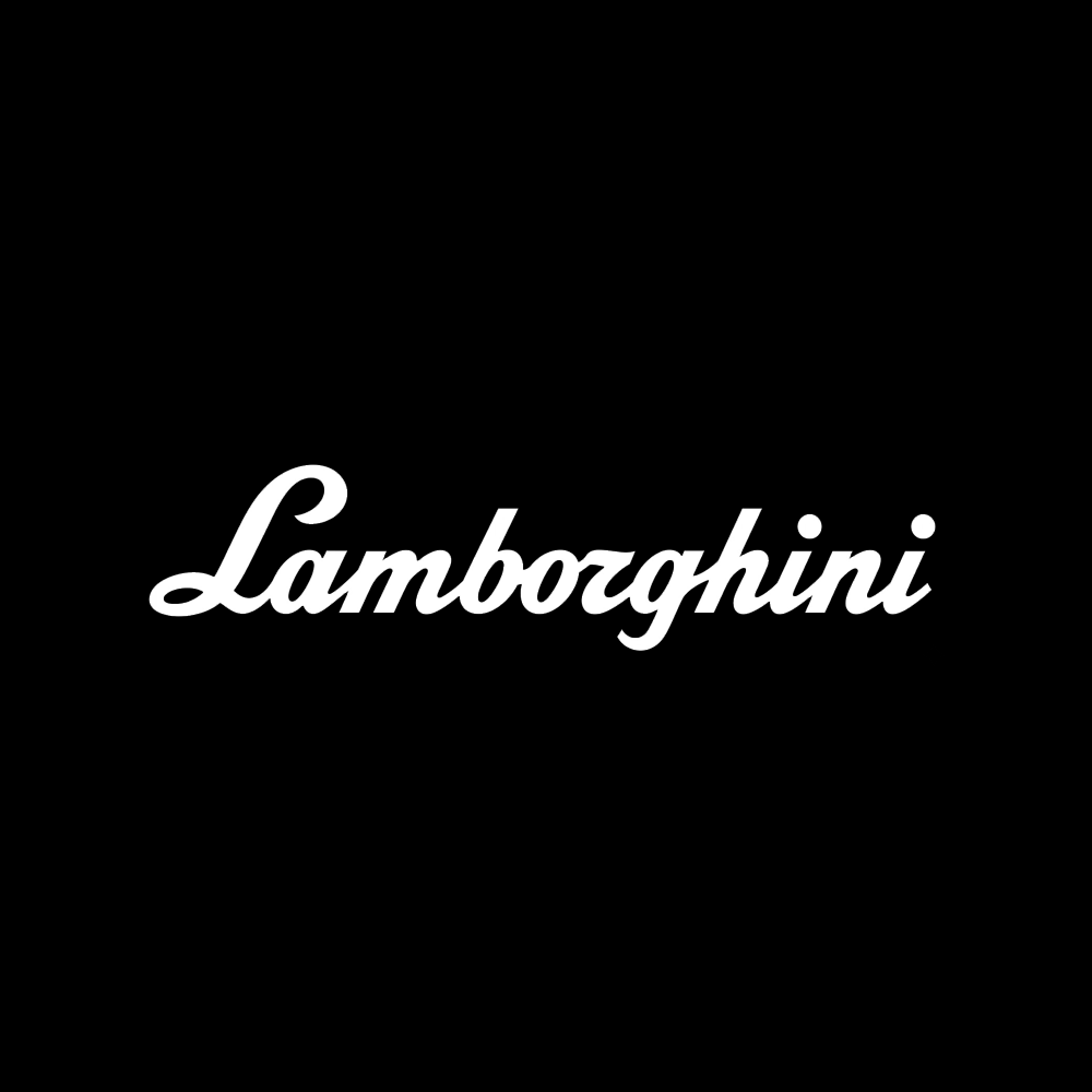Lamborghini LED Door Projection Light Kit
