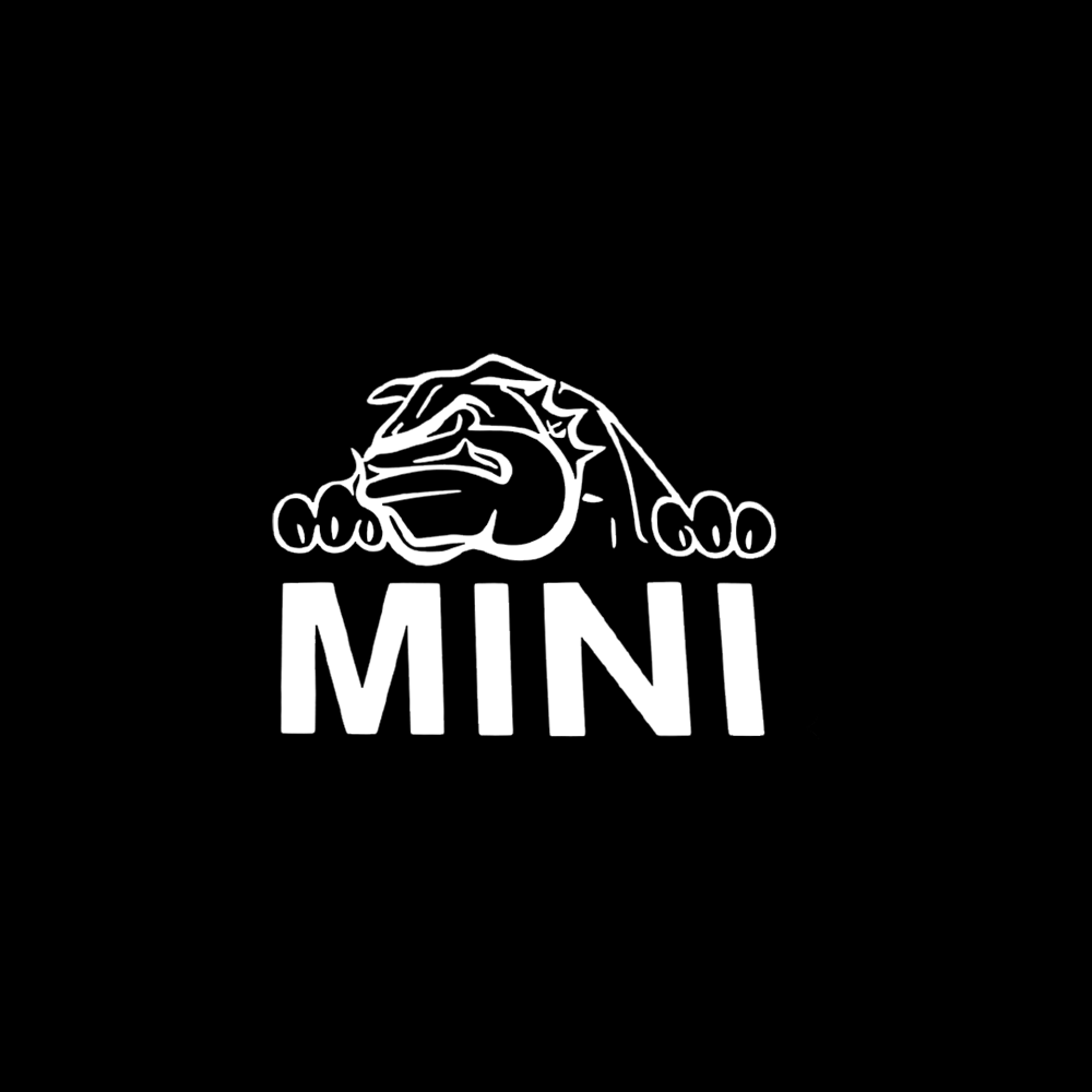 Mini Cooper LED Door Projection Light Kit