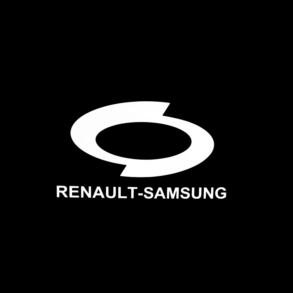 Renault LED Door Projection Light Kit
