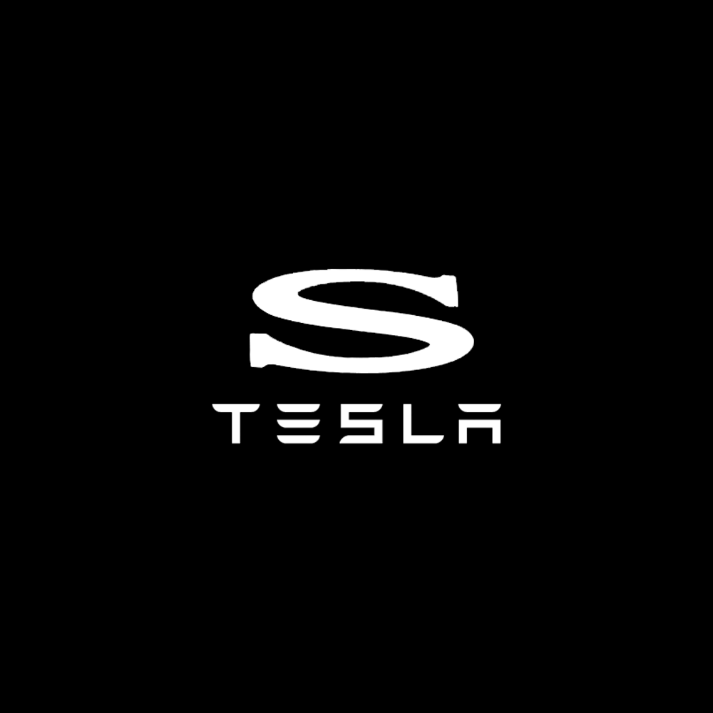 Tesla LED Door Projection Light Kit