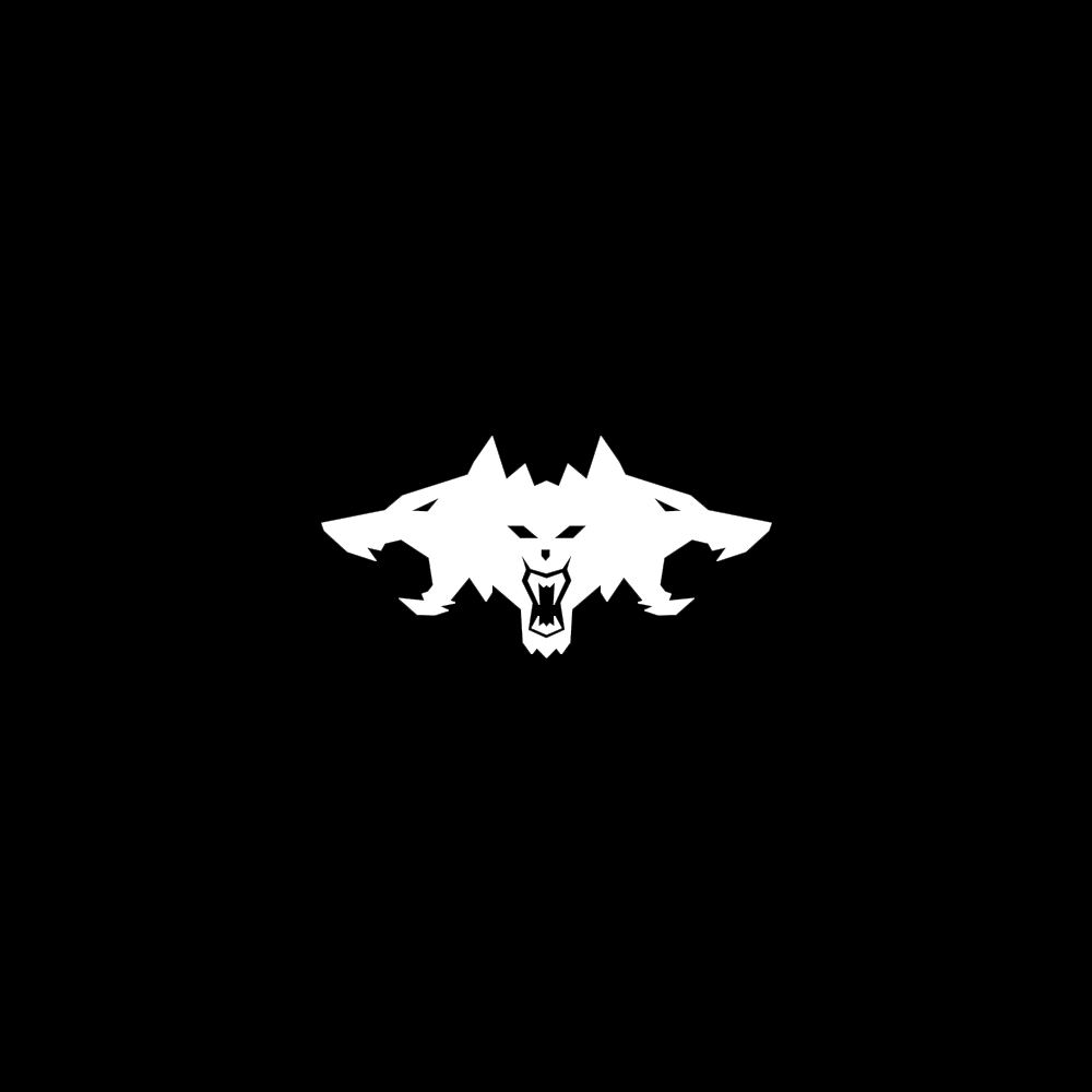 Tesla LED Door Projection Light Kit