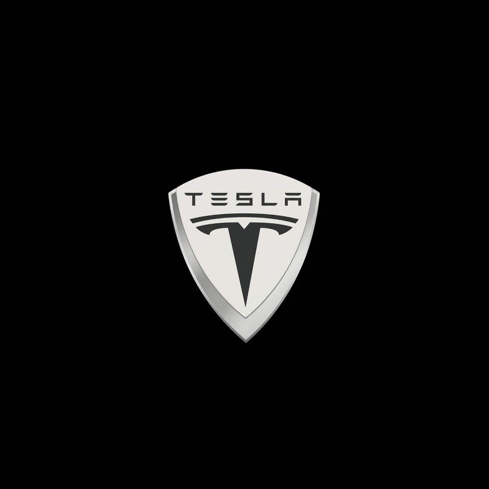 Tesla LED Door Projection Light Kit