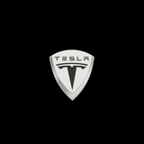 Tesla Gray