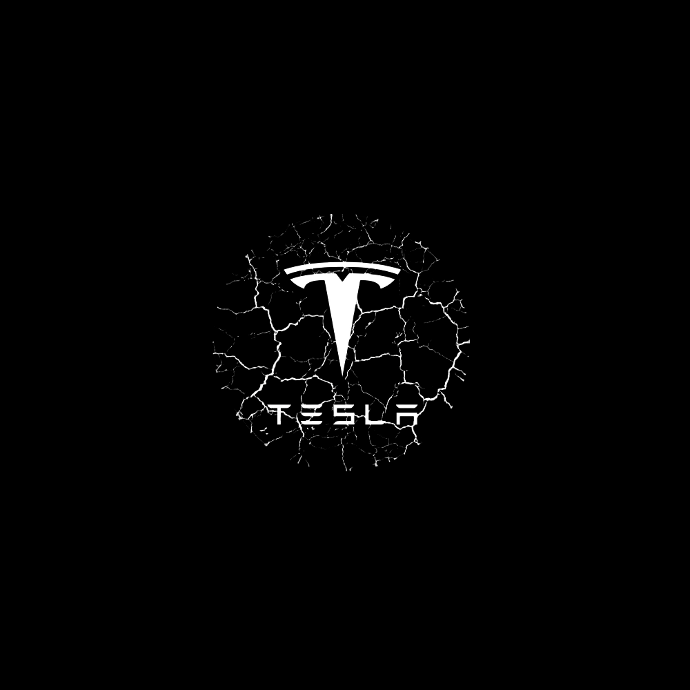 Tesla LED Door Projection Light Kit