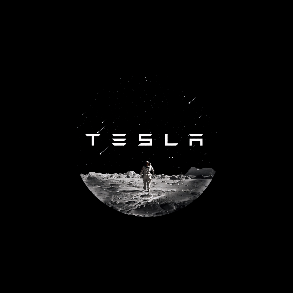 Tesla LED Door Projection Light Kit