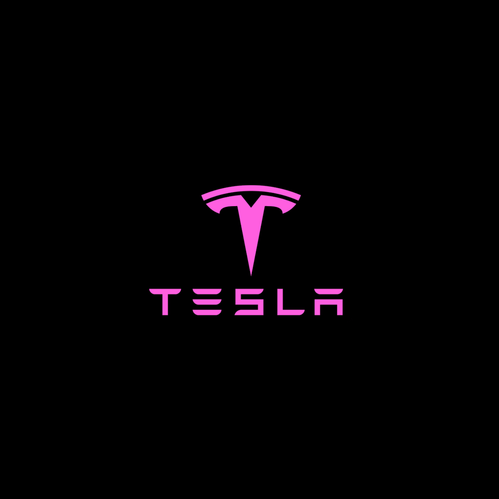 Tesla LED Door Projection Light Kit