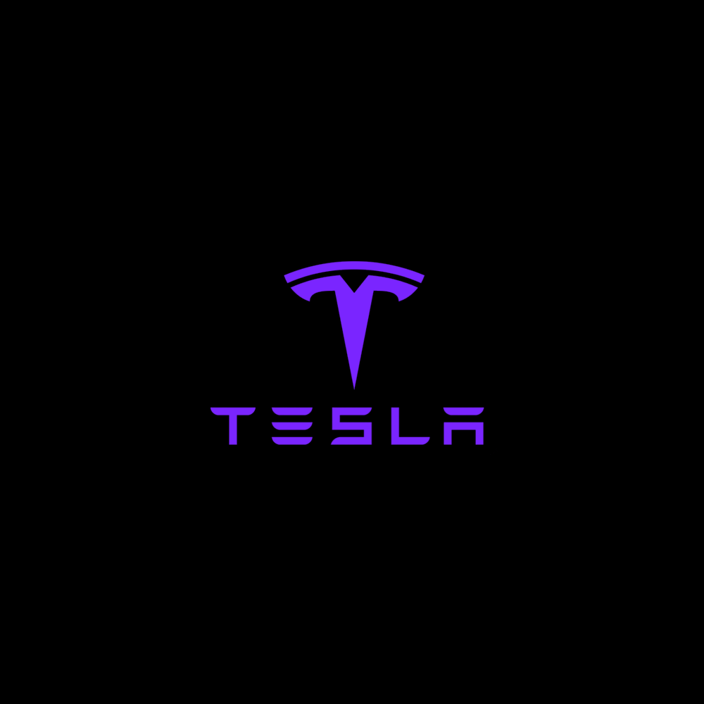 Tesla LED Door Projection Light Kit