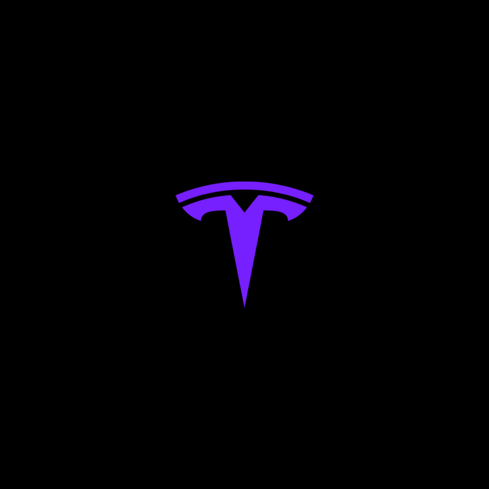 Tesla LED Door Projection Light Kit