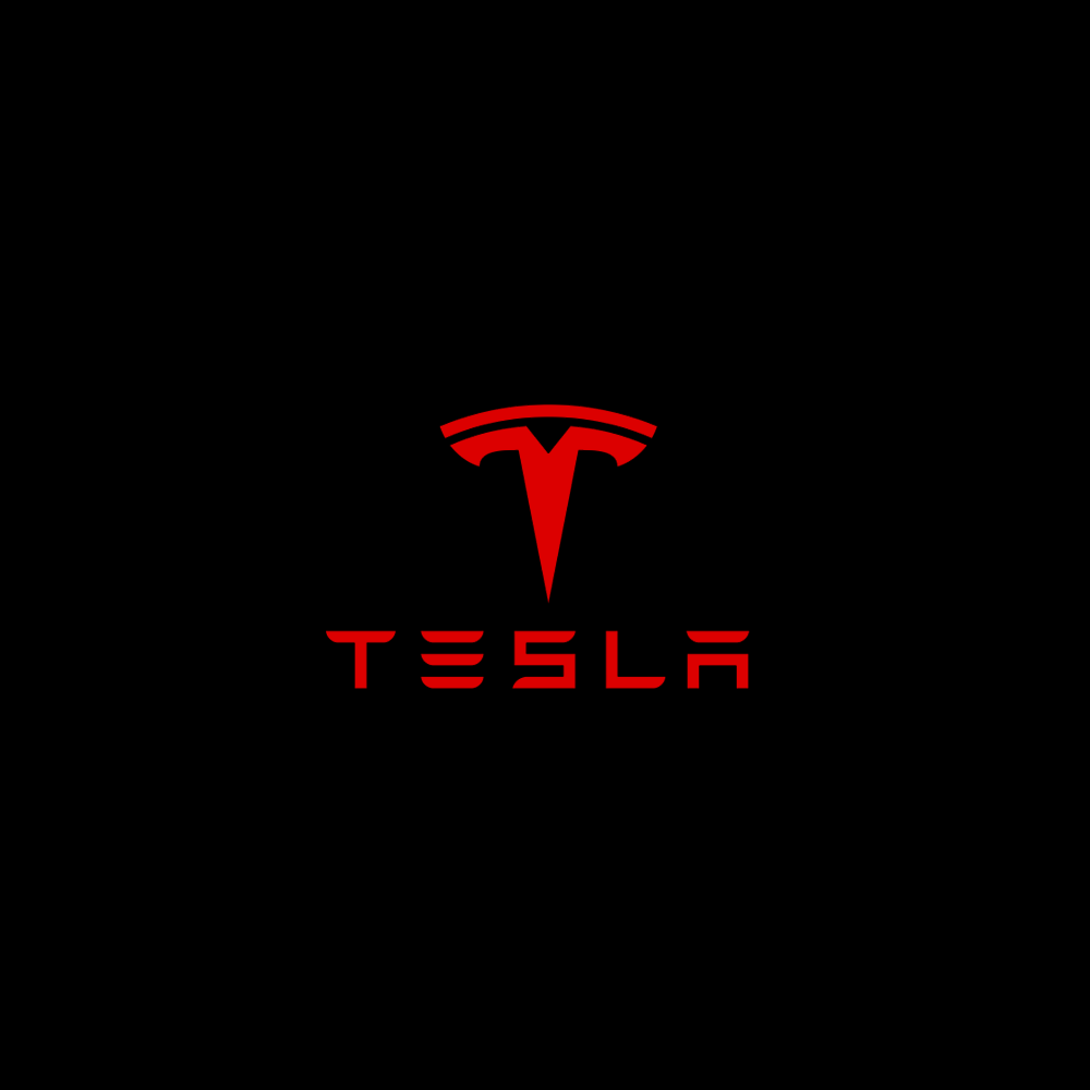 Tesla LED Door Projection Light Kit
