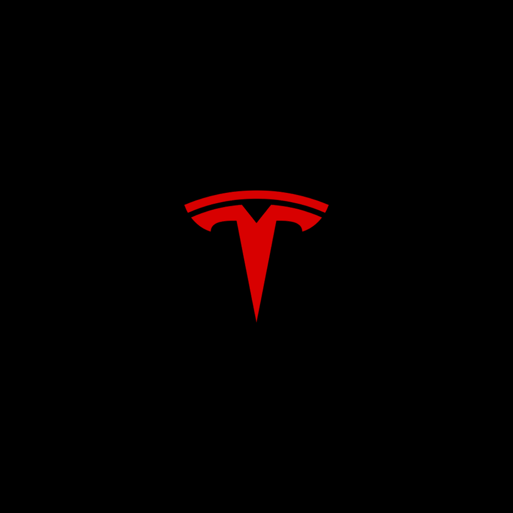 Tesla LED Door Projection Light Kit