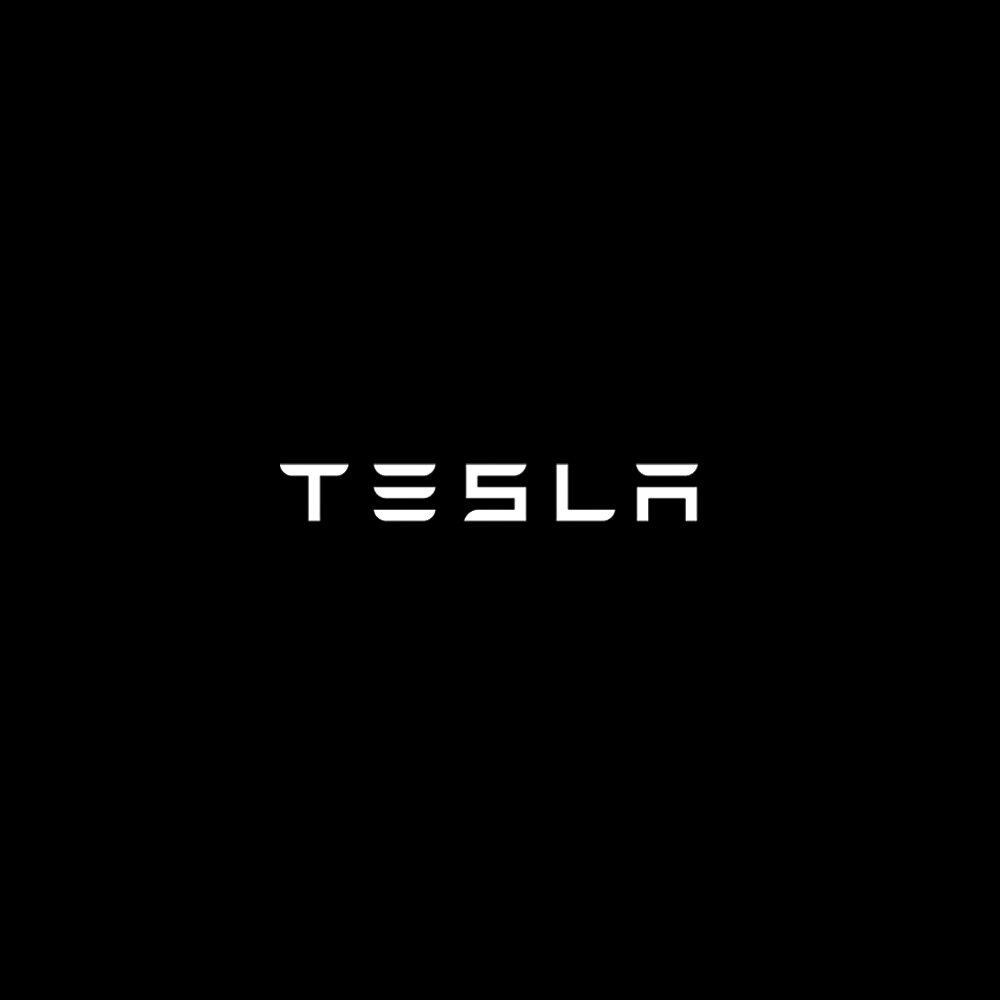 Tesla LED Door Projection Light Kit