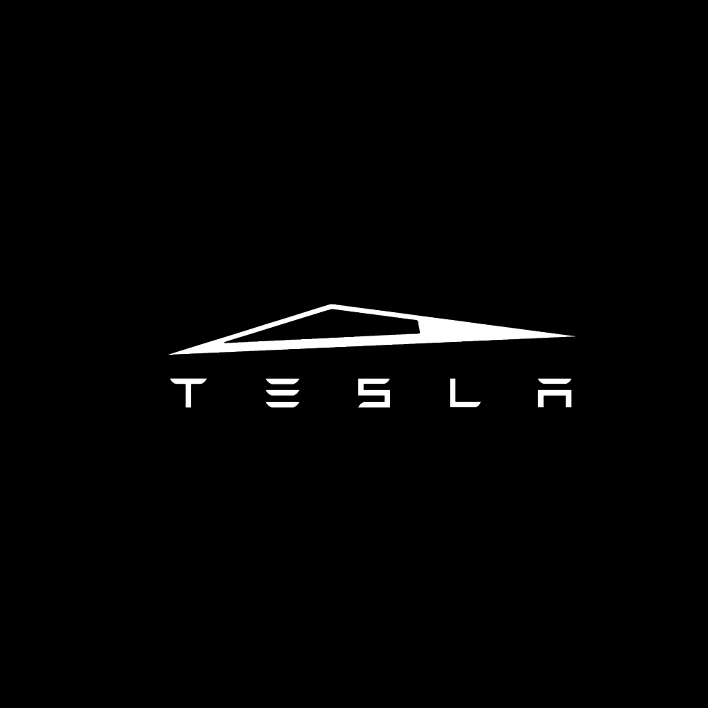 Tesla LED Door Projection Light Kit