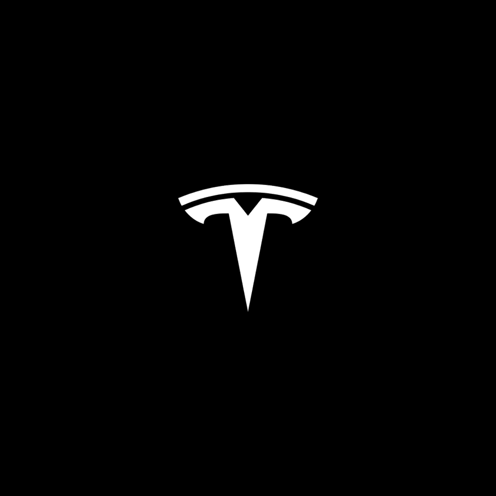 Tesla LED Door Projection Light Kit