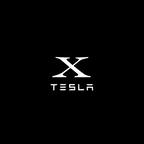 Tesla LED Door Projection Light Kit