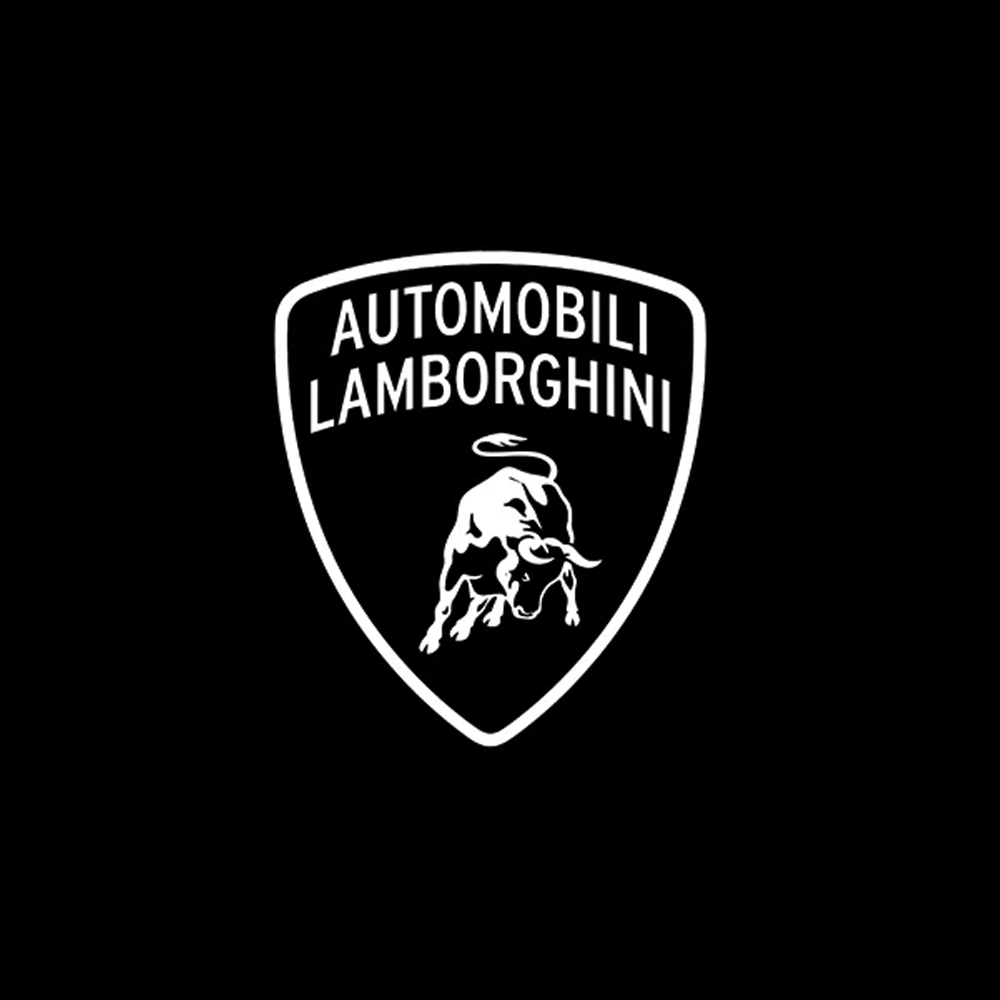 Lamborghini LED Door Projection Light Kit