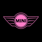 Mini Cooper LED Door Projection Light Kit