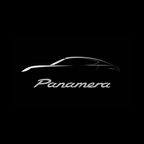 Porsche LED Door Projection Light Kit